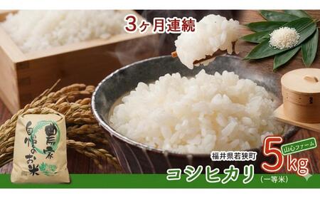 コシヒカリ 3ヶ月連続 令和8年産 一等 5kg コシヒカリ