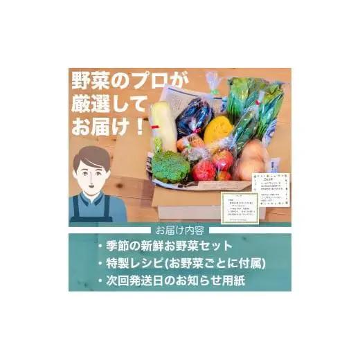 【 野菜定期便 】 野菜定期便詰め合わせ