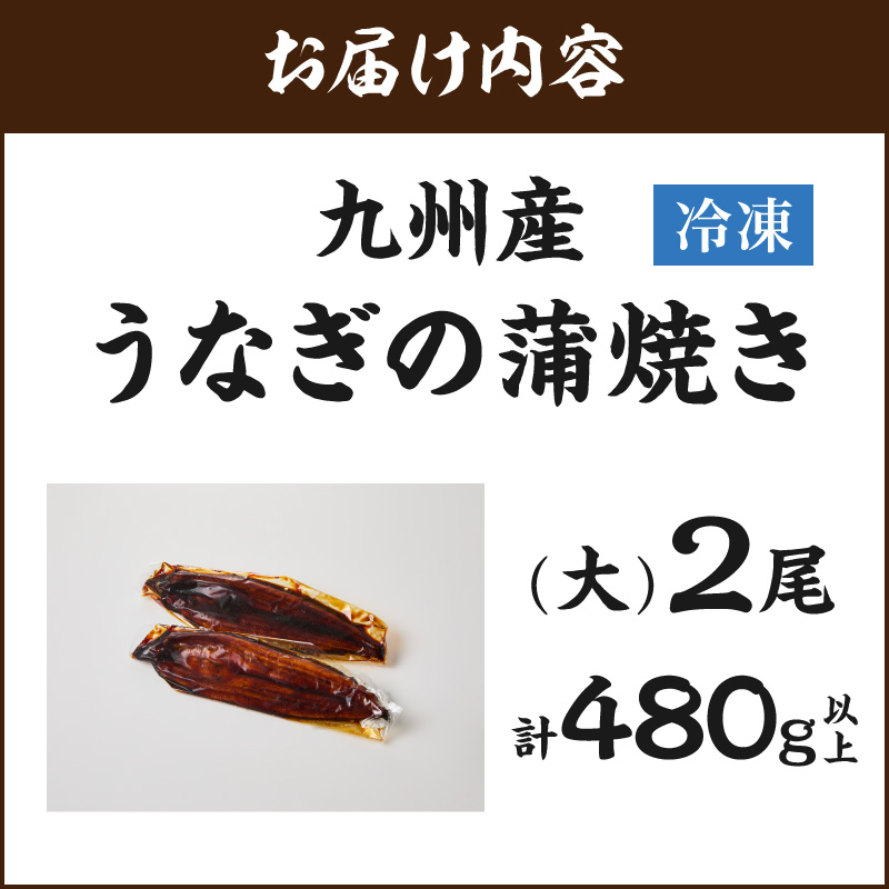 九州産うなぎ蒲焼 2匹（1匹240g以上） 015-C224