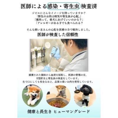ふるさと納税 南部町 山梨県産 猪ジャーキー 犬猫用 35g×3袋 |  | 03