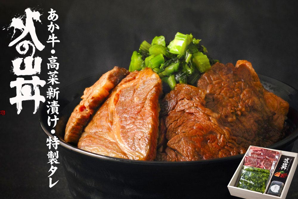 あか牛 火の山丼 （牛肉・特製タレ・高菜） 和牛 牛肉 ブランド牛 国産 特製だし醤油 醤油 高菜 人気 美味しい 名産品 セット 詰め合わせ 熊本 阿蘇