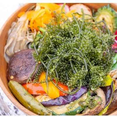 ふるさと納税 糸満市 朝採れ!しゃきしゃき海ぶどう(茎付き)400g |  | 02