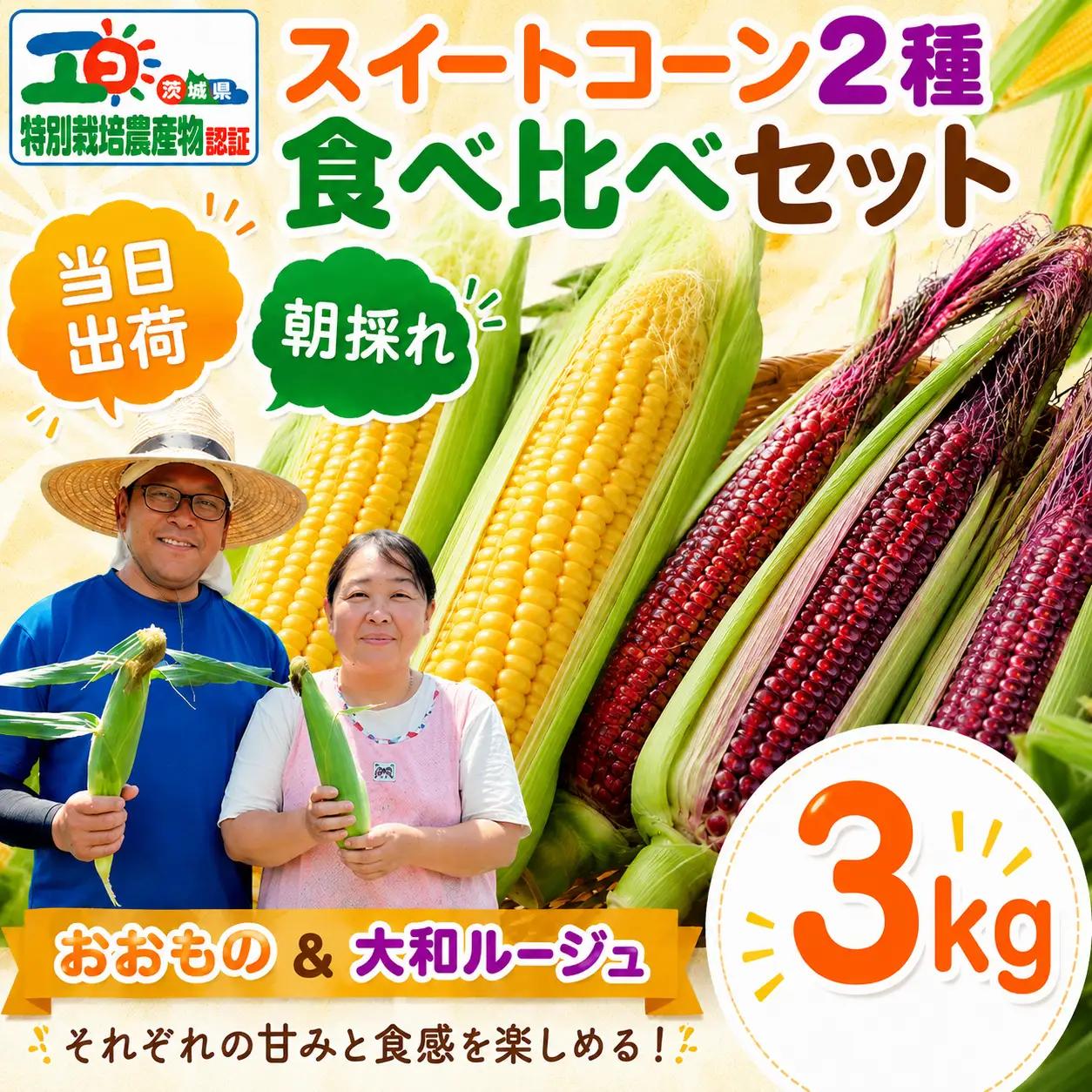 【 朝採れ 当日出荷 】 スイートコーン 2種 ( 大和ルージュ ・ おおもの ) 食べ比べ セット 約3kg 特別栽培農産物 新鮮 皮付き トウモロコシ とうもろこし