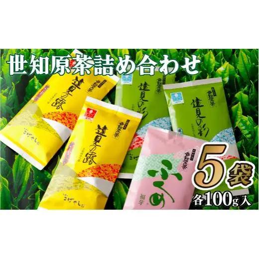 世知原茶詰め合わせ