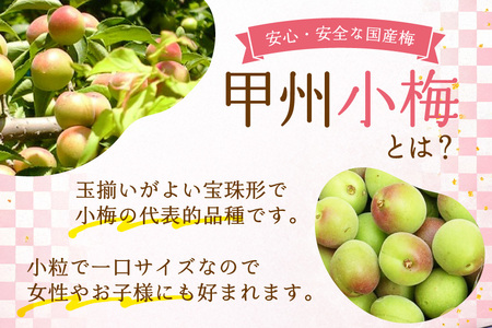 【やばいだろ】粋な小梅 2粒×30 計60粒 カリカリ梅干し 国産 個包装