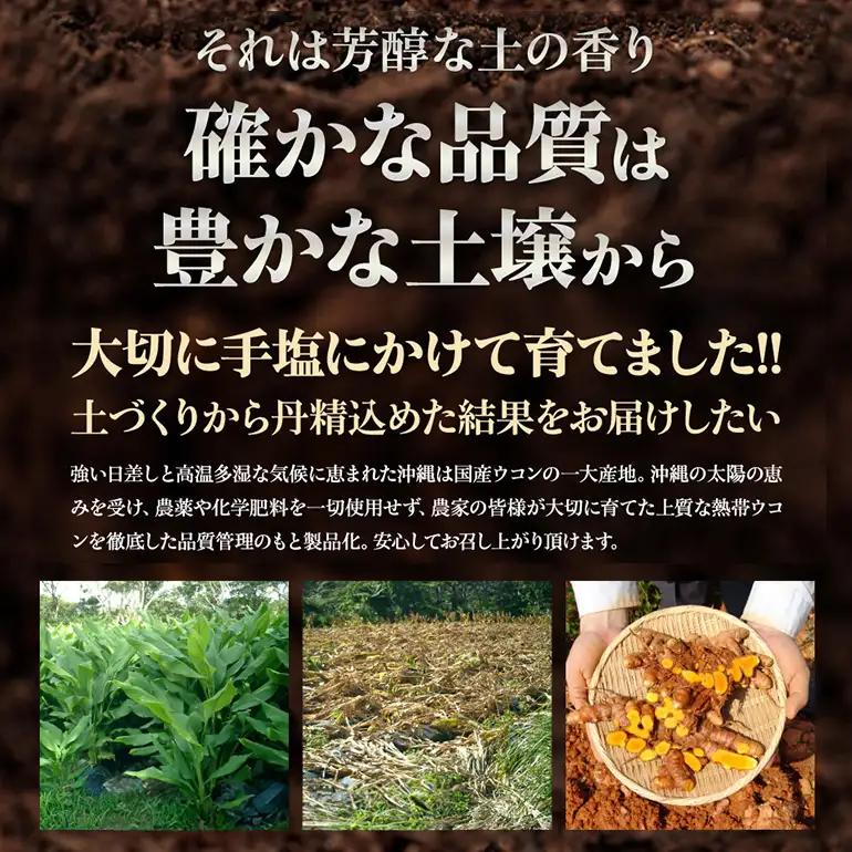 【金秀バイオ】沖縄県産 熱帯 ウコン 90粒 3袋 セット 90日 分 (約 3ヶ月 分) サプリ サプリメント 熱帯ウコン 春ウコン 紫ウコン 栽培期間中農薬・化学肥料不使用 クルクミン ビタミンC