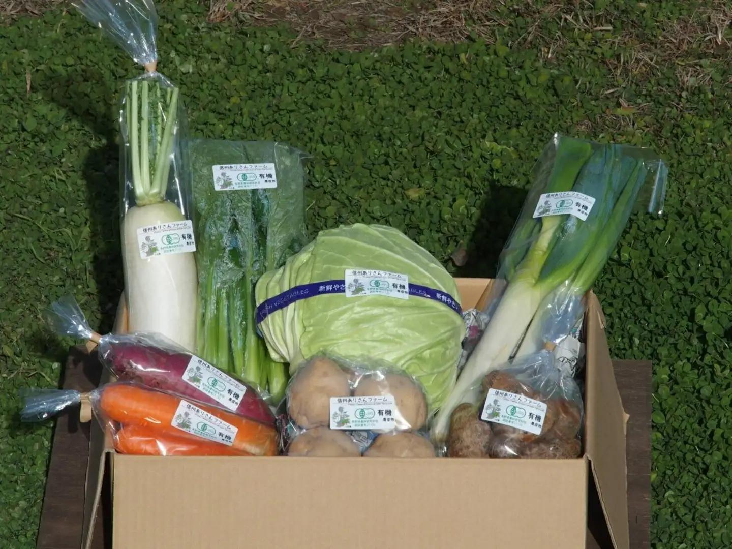 信州ありさんファーム 旬の野菜 7~9品 冬版 【有機JAS認証】|有機野菜 野菜