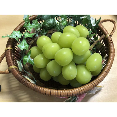 
                  ＜2026年8月上旬発送開始＞大粒であまいシャインマスカット(700g以上×2房)【1216189】
                