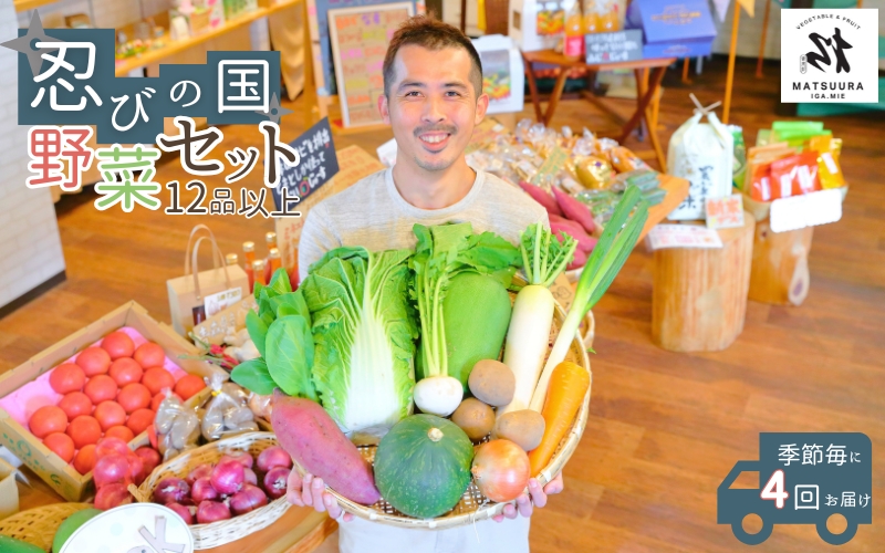 忍びの国の野菜セット（12品以上）季節毎に4回お届け【mtur-tkb0002】