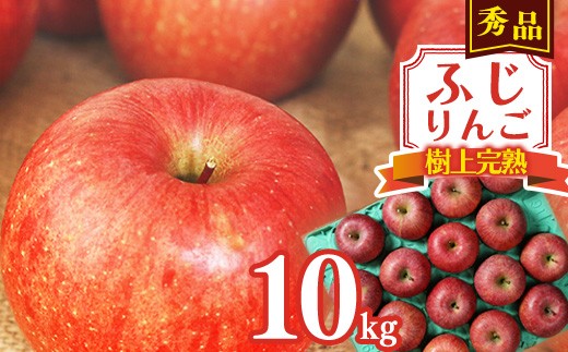 
                  令和8年産 樹上完熟 りんご 10kg 秀品 「ふじりんご」 2026年産 山形県産【2026年11月下旬頃から12月下旬頃発送予定】　034-B-NG014
                