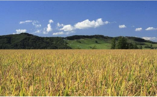 R5【精白米】食べ比べ8kgセット（ゆめぴりか2kg・ななつぼし2kg・ふっくりんこ2kg・おぼろづき2kg）【39107】