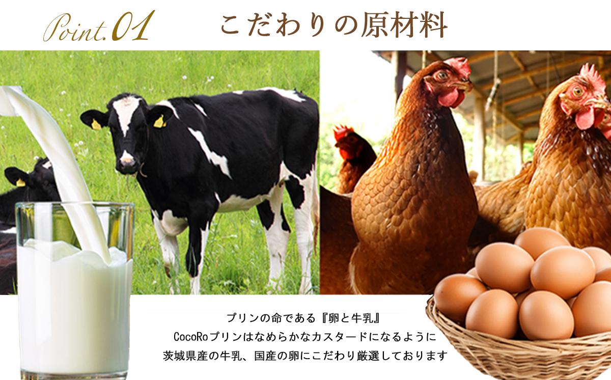 CocoRoプリン 6個セット（ ギフト包装 ＋ メッセージシール「だいすき」 ） 【 茨城県 つくば市 プリン スイーツ 生クリーム カスタードクリーム バニラ 牛乳 卵 国産 甘味 お菓子 デザー