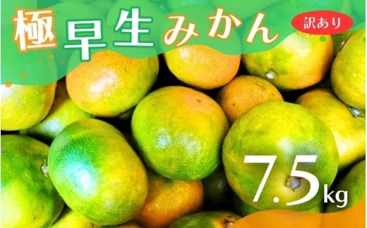 【訳あり】こだわりの極早生みかん 約7.5kg 【2025年10月上旬より順次発送予定（お届け日指定不可）】 有機質肥料100% サイズ混合  有田産【CE-nuk166A】