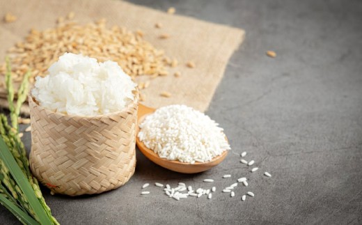 
                  【数量限定】日本海の風が育てた北栄町産きぬむすめ 精米 5kg
                