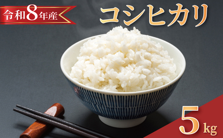 【2026年8月発送】早場米 コシヒカリ 白米5kg [tkg001] 白米