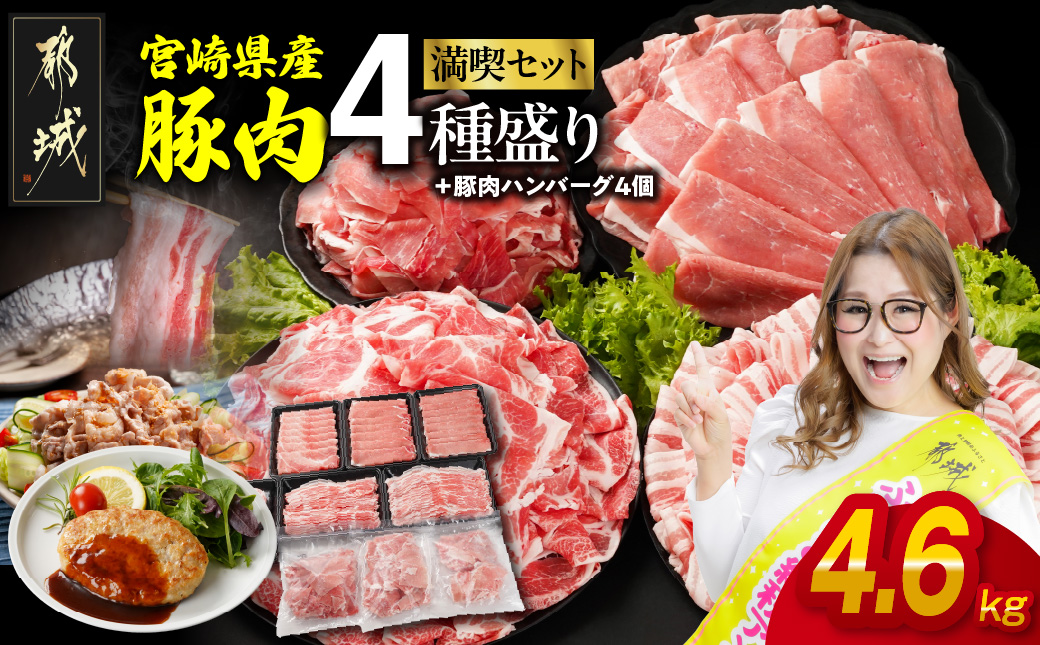宮崎県産豚肉たっぷり4.6kgセット_AC-N202-ESH