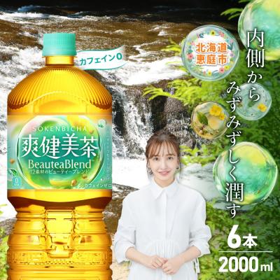 ふるさと納税 恵庭市 【カフェインゼロ】爽健美茶 2000mlPET×6本【38000702】