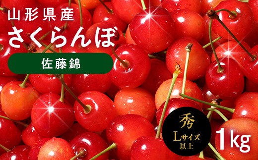 
                  ≪2027年先行予約≫山形県産 さくらんぼ 佐藤錦 1㎏(500g×2) 秀品 L以上 バラパック詰め 2027年6月中旬から順次発送 果物 くだもの フルーツ サクランボ チェリー 贈答 贈り物 ギフト プレゼント 自宅 家庭 産地直送 山形県 西川町 月山 FYN6-619
                