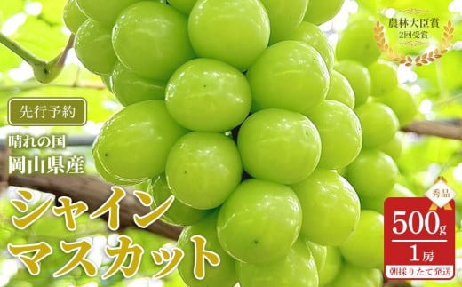 
            ぶどう 2026年  シャインマスカット 秀品 約500g 1房 農林大臣賞受賞 岡山 国産 果物 フルーツ シャイン マスカット 2026年6月下旬から発送
          