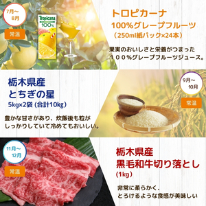 下野市のうまいもん定期便6回 | とちあいか 午後の紅茶ミルクティー 栃木県産牛 赤身切り落とし トロピカーナ100％グレープフルーツ 栃木県産とちぎの星10kg 栃木県産黒毛和牛切り落とし 月ごとに