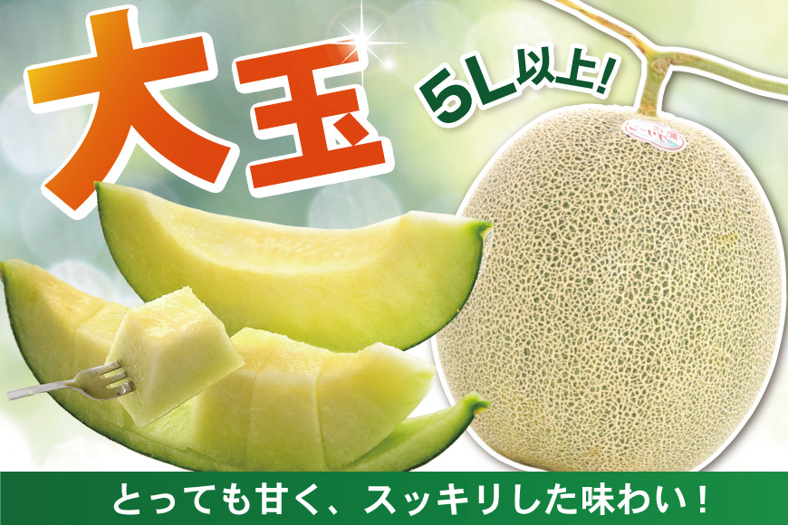 【期間限定発送】メロン 雲仙グリーンメロン 大玉 2玉 [長崎県農産品流通 長崎県 雲仙市 item1560] めろん 果物 フルーツ くだもの 季節限定 期間限定