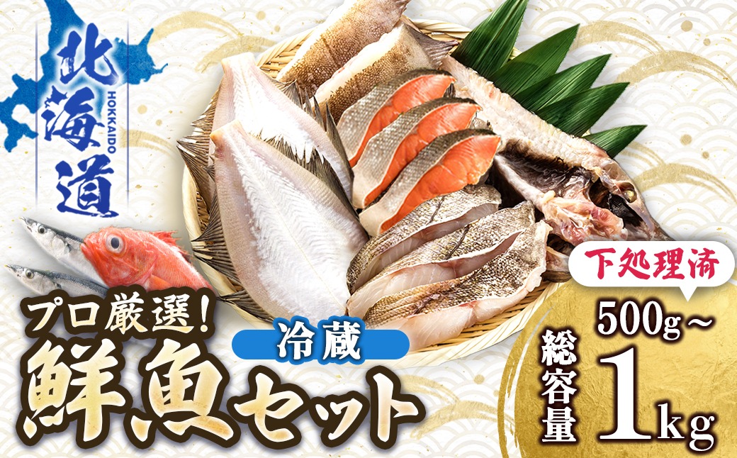 お魚の目利きのプロにお任せ！北海道産（国産） 天然 鮮魚 約500g～1kg（釧路の鮮魚セット）産地直送 冷蔵 冷蔵便 刺身 セット 鮮魚セット 鮮魚ボックス 魚介類 海鮮 絶品 人気 ヒロセ 北海道 釧路町 釧路超 特産品 121-1262-142-001