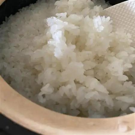 青野山の湧水と朝晩の寒暖差が育んだ棚田の甘～い米「コシヒカリ」(白米5kg×1袋)(令和7年産)【1524991】