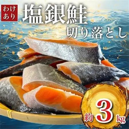 【訳あり】人気の海鮮お礼品 チリ産 定塩 塩銀鮭切り落とし(端材)約3.5kg