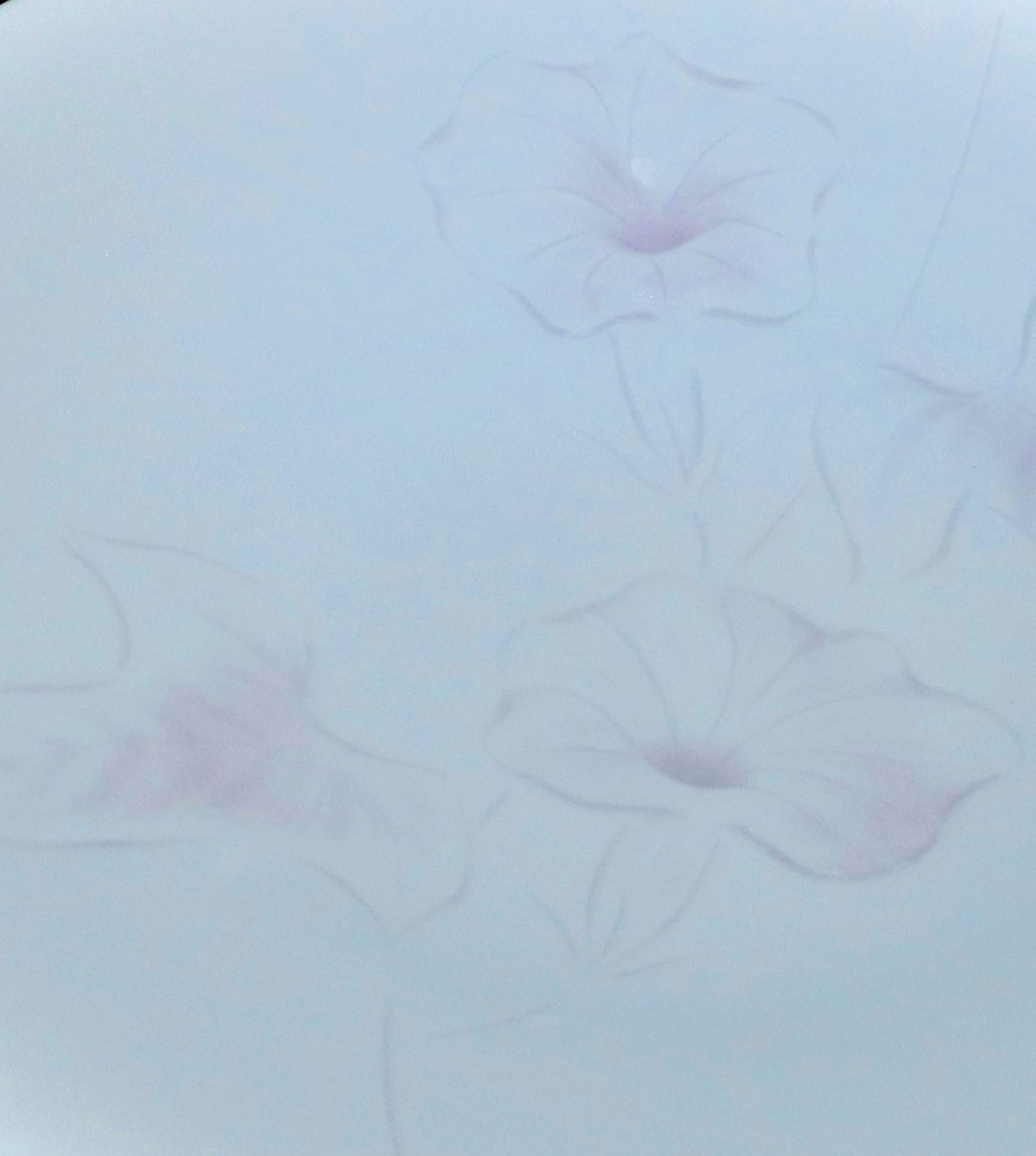 朝顔の絵柄と色合いが爽やかなお皿です。普段使いにちょうどいい大きさです。