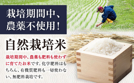 【全6回】自然栽培米滋賀旭 　5kg玄米×6回[AQCP049] 玄米