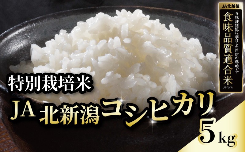 
                  令和7年産 JA北新潟コシヒカリ 5㎏ 特別栽培米 新潟 米 お米 こめ ごはん ブランド米 新潟産 コシヒカリ JA 北新潟農業協同組合 新潟県 新発田市 JA008
                