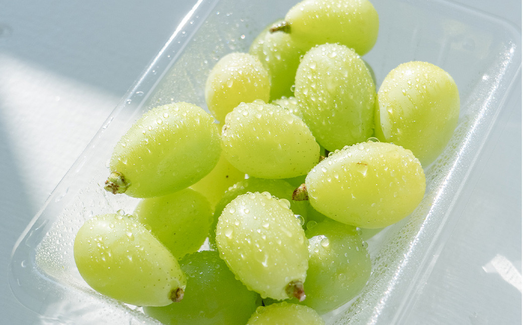 ☆正金農園より直送☆ 農薬節減 シャインマスカット（粒タイプ） 4パック入