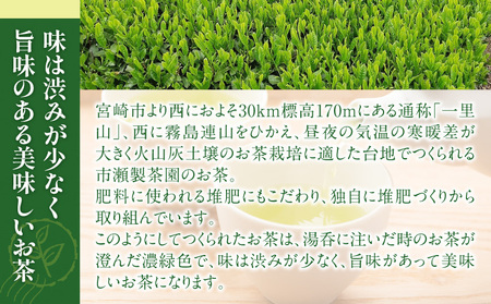 創業明治15年宮崎美老園銘茶詰め合わせBセット(宮崎市高岡町一里山産煎茶) 茶葉 茶 お茶