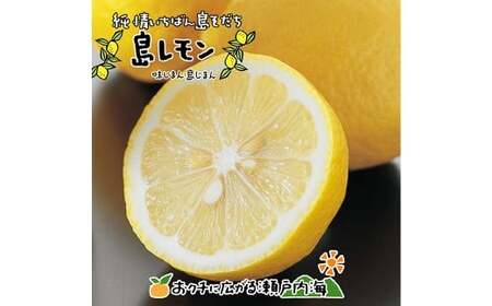 【希望の島】レモン特選品中玉2kg 愛媛県 松山市 中島産 レモン れもん 檸檬 贈答用 果物 フルーツ 調味料 農家直送 国産 常温 【2026年6月下旬迄順次発送予定】（1012）