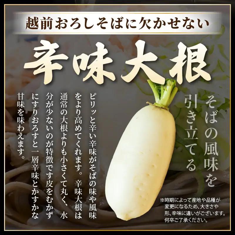 【だし 辛味大根ねぎ付】新月亭の生そば4人前 越前そば [e21-a007]