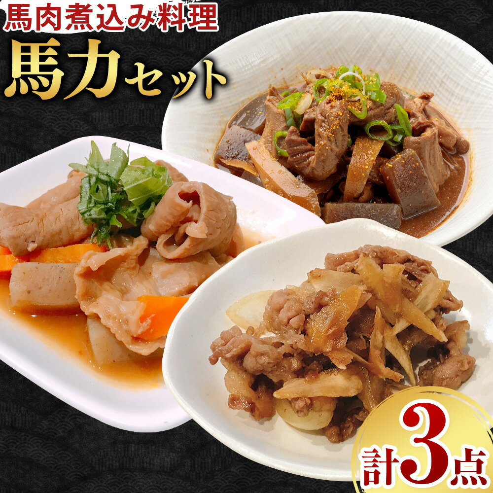 【ふるさと納税】馬力セット 3種類 セット 計630g ホルモン煮込み しぐれ煮 スジ煮込み 株式会社有働精肉店《30日以内に出荷予定(土日祝除く)》熊本県 菊池市 おつまみ 惣菜 馬肉 ホルモン すじ肉 熊本県産 九州産 国産 冷凍 送料無料