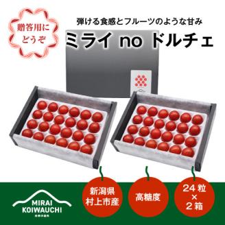 B4121 【数量・期間限定】『【7月上旬から順次発送】ミライ no ドルチェ』プレミアム 新潟県村上産ミニトマト（化粧箱入り）500g程度×2ケース