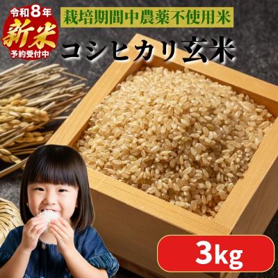 ふるさと納税 小松島市 【2026年9月順次発送】 栽培期間中農薬不使用 コシヒカリ玄米 3kg 玄米 米 化学肥料不使用