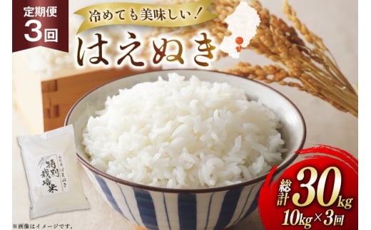 米 定期便 3回 令和7年 はえぬき 10kg 3回 計30kg [渡部ファーム 山形県 高畠町 tk06ays810043] お米 白米 精米 ごはん ご飯 ブランド米