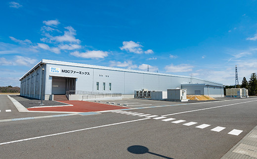 定期便 3ヶ月連続 植物工場で育てた5種のレタス食べくらべセット 10パック  野菜 セット 詰め合わせ 詰合せ 食品 F23R-785