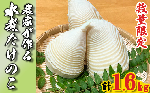 【先行予約】生産農家が作る！朝堀 水煮たけのこ 1.6kg 令和8年産 4月下旬から発送 無添加 熊本県 南関町産 若手 農家 惣菜 筍 和食