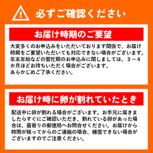 【累計600万個突破！】【TVで紹介されました】【定期便】タズミの卵(30個×6ヶ月)044AB01N.／こだわり卵 市川町産 兵庫県産 たまご たまごかけご飯 玉子 生卵 鶏卵 タマゴ 卵焼き TK