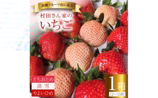 【4月上旬発送】村田さん家のいちご 【3種食べ比べセット】 (1箱12～15粒） イチゴ 苺 白いちご 淡雪 ジューシー とちおとめ 大粒 甘い やよいひめ 紅白 お祝い 贈答 にも オススメ 苺 村田さん家のいちご 村田農園 茨城県 鉾田市