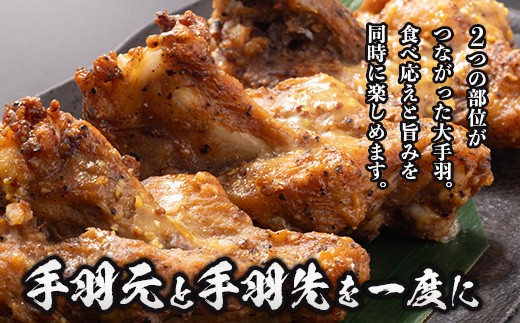 みやざき地頭鶏 大手羽 約3kg（500g×6P）セット 大容量 冷凍｜家庭応援 鶏肉 地鶏 手羽元 手羽先 精肉 出汁 鍋 チキン じとっこ 真空パック 料理 お肉 肉 小分け 使いやすい 大容量パ