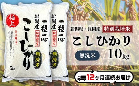 48-7M10Z【12ヶ月連続お届け】【無洗米】新潟県長岡産特別栽培米コシヒカリ10kg