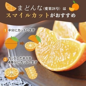 【先行予約：2026年11月20日～発送】訳あり まどんな 3kg 数量限定 愛南町青果市場組合