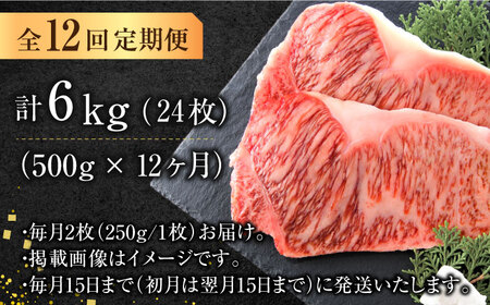 【全12回定期便】【溢れる肉汁と濃厚な旨味】博多和牛サーロインステーキセット 500g（250g×2枚） 広川町/株式会社MEAT PLUS[AFBO008]