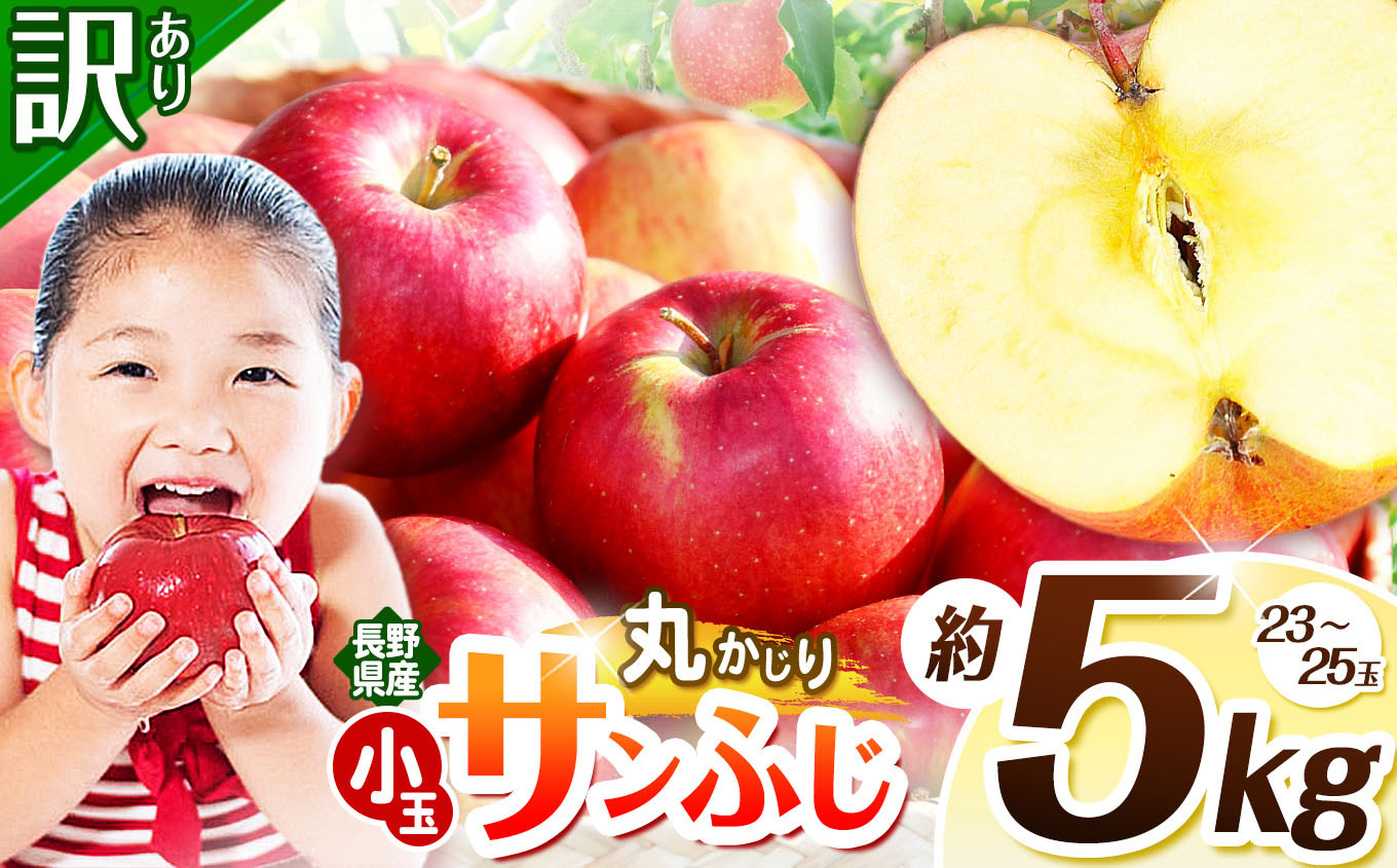 
            訳あり サンふじ 丸かじりSSサイズ 約5kg ｜ 浅野農園 リンゴ りんご 林檎 果物 くだもの フルーツ 果実 果汁 訳あり 小玉 丸かじり SSサイズ サンふじ 長野県 松川村 信州 北アルプス
          