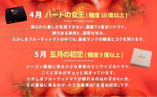 【年4回定期便】たかしまフルーティトマトの小箱コース