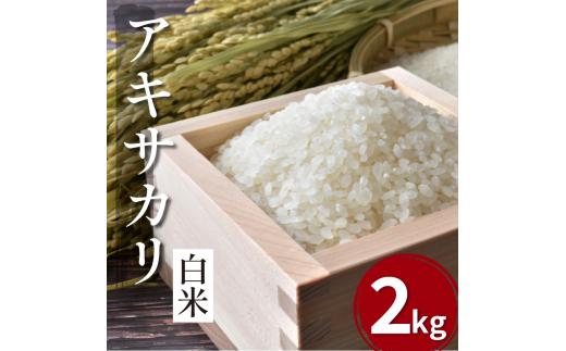 【先行予約】令和7年産 米 白米 2kg （ 2kg × 1袋 ） アキサカリ 令和7年度産 新米 1袋2kg 小分け お米 こめ 白米 精米 ごはん ご飯 白飯 ゴハン コメ 吉野川 徳島県 吉野川市